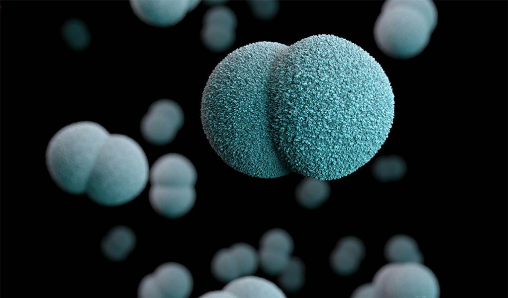 Anti-Viral Thumbnail